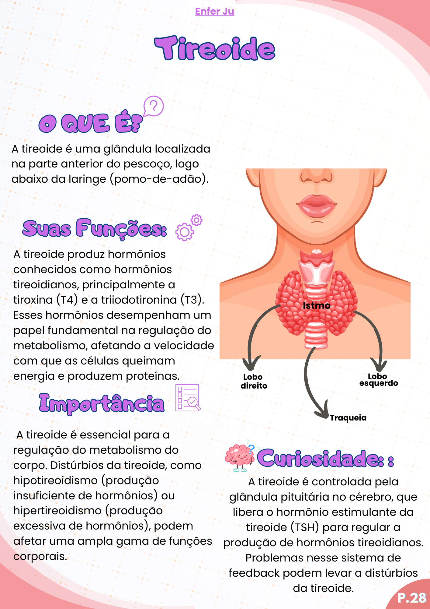 ANATOMIA (10)